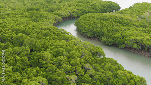 Obraz na plátně Aerial View of a Winding River Through Lush Mangroves in Port Douglas