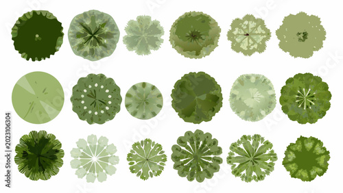 Konstfotografi Collection of green tree top views circular foliage patterns on a white backgrou