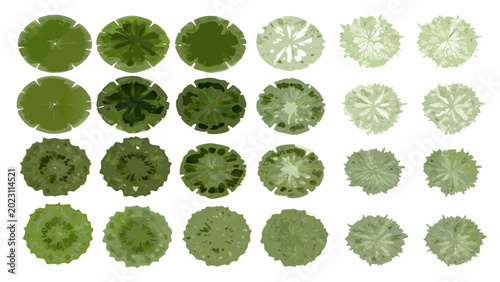 Foto collection of green tree top views aerial perspective vector illustration on whi