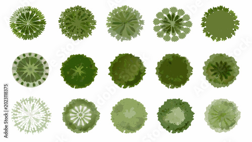 Bild auf Leinwand collection of green tree top views circular foliage patterns on a white backgrou