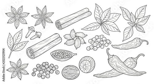 Bild auf Leinwand A collection of spice and herb illustrations.