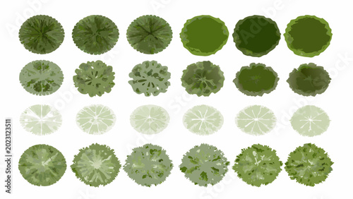 Foto Collection of green tree top views aerial perspective of circular foliage patter