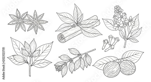 Canvas Print A collection of various leafy plants and flowers.