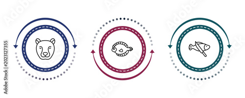 Photography outline animals icons set - cheetah, flounder, fish and a knife