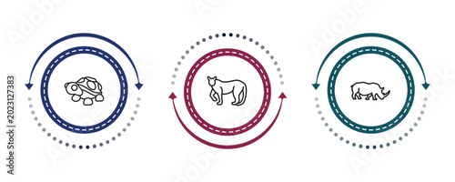 Photography outline animals icons set - turtle, puma, rhinoceros