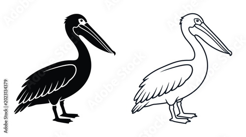 Bild auf Leinwand pelican on white background