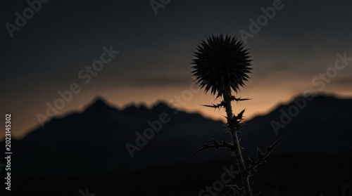Dark thistle stands tall against mountain range at sunset