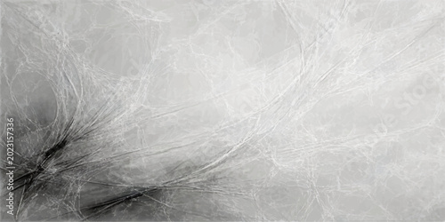 Billede på lærred A close-up macro photograph captures the intricate, feathery texture of a dandelion seed head, its delicate structures creating an ethereal, abstract pattern against a soft, diffused background
