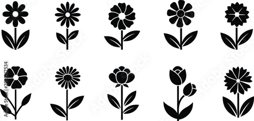 Fényképezés Collection of ten black silhouette flower with stems and leaves on a white backg