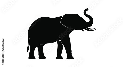 Photography Elephant silhouette black animal shape on white background