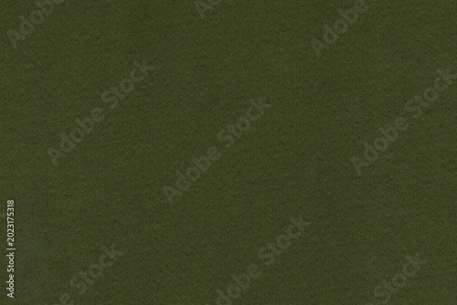 Dark olive green background with soft vertical texture and matte finish ideal for decorative and vintage designs. Luxury background of dark olive velvet. Military Green.