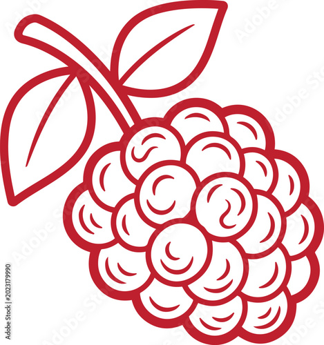 Red raspberry with green leaf on white background