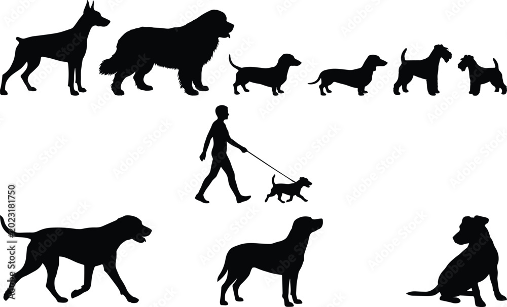 Fototapeta premium Collection of Dog Silhouettes with Different Breeds Walking Standing Sitting and Pet Owner Vector Style Illustration