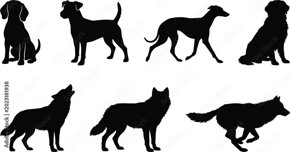 Fototapeta premium Dog and Wolf Silhouette Collection Vector Illustration Isolated on Gray Background for Wildlife and Pet Design