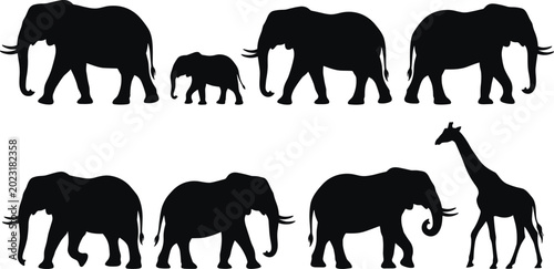 Bild auf Leinwand Elephant and Giraffe Silhouette Set with African Wildlife Animals Isolated on Gr