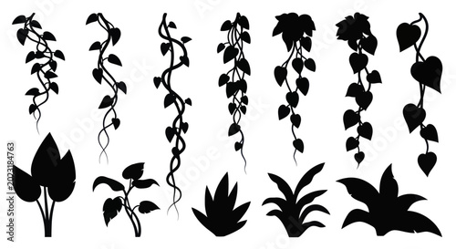 Photos Collection of Black Silhouette Hanging Plants and Greenery Elements