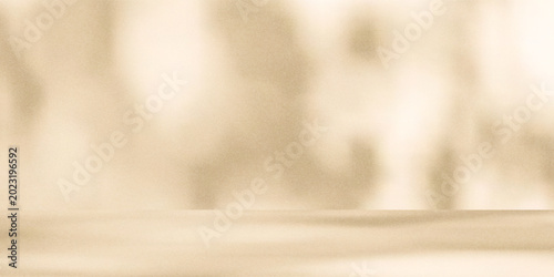 Photos Wall interior background, studio  and backdrops show products
