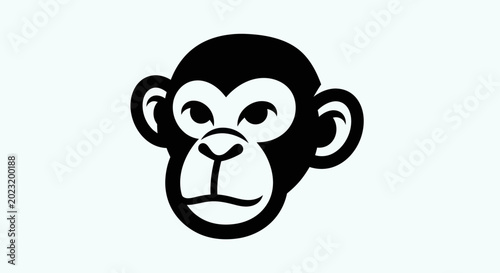 Photography Stylized monkey head illustration