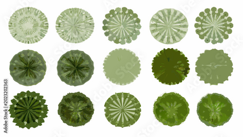 Bild auf Leinwand collection of green tree top views circular foliage patterns on a white backgrou