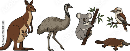 Photos Australian Wildlife Vector Animal Icon Set Featuring Cute Cartoon Kangaroo with