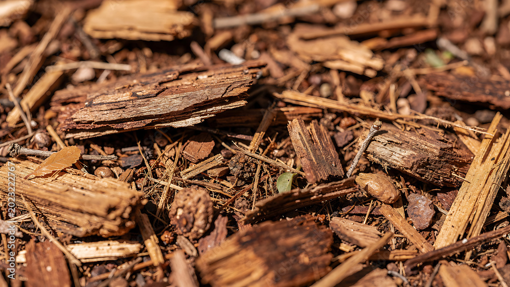 Fototapeta premium Recycled Wood Chips Mulch for Sustainable Soil Enrichment