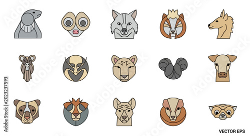 Photography Cute Animal Faces Collection