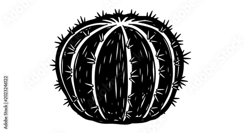 Foto Black and White Barrel Cactus Illustration