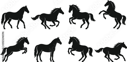Quadro su tela Set of black horse silhouettes in different poses including running jumping trot
