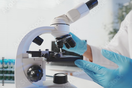 Foto A close-up shot of a researcher's gloved hand holding a petri dish containing a dark blue specimen