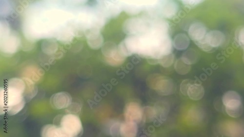 abstract, abstract nature, aesthetic, artistic, backdrop, blur, blurred background, bokeh, botanical, bright, bright light, cinematic, close up, copy space, daylight, defocused, dreamy, eco, environme