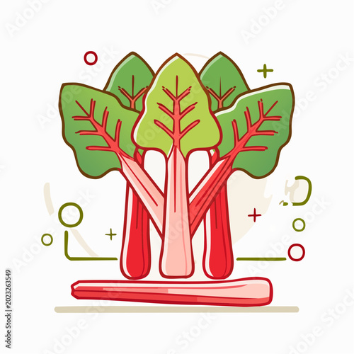 Illustration of Rhubarb Stalks and Leaves