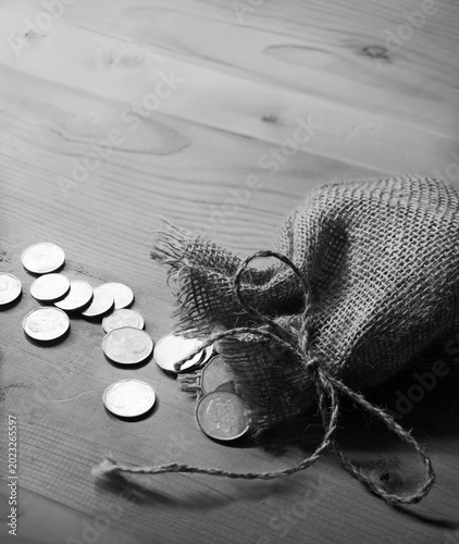Schilderij op canvas Silver coins in the bag