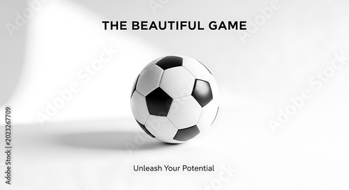 Soccer ball on a white background with black and white panels and inspirational text