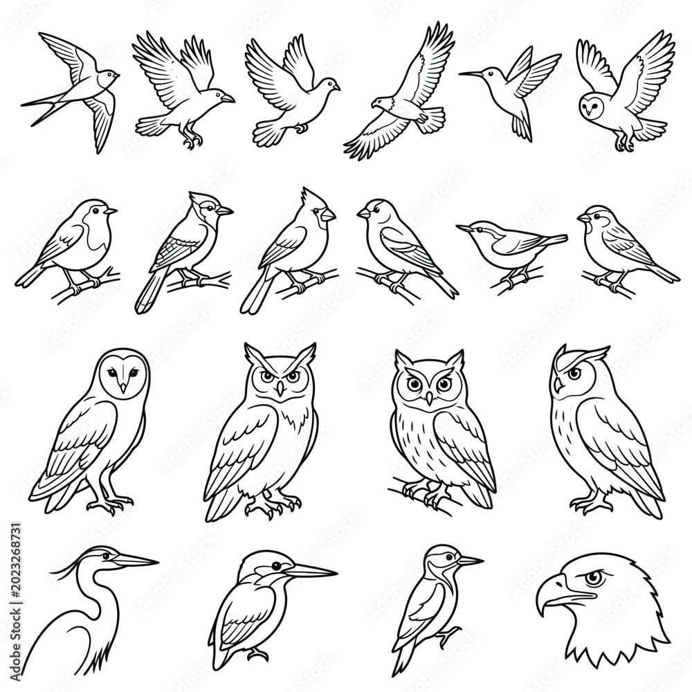 Obraz premium Various Birds in Different Flying Poses.