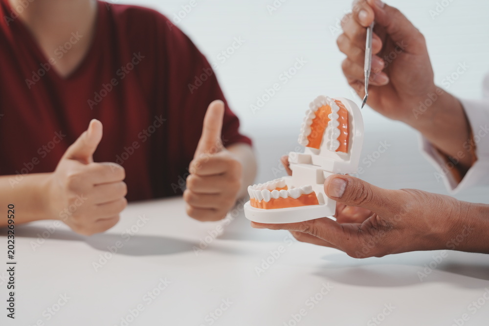 Obraz premium A dentist explains dental care using a tooth model during a patient consultation at a dental clinic.