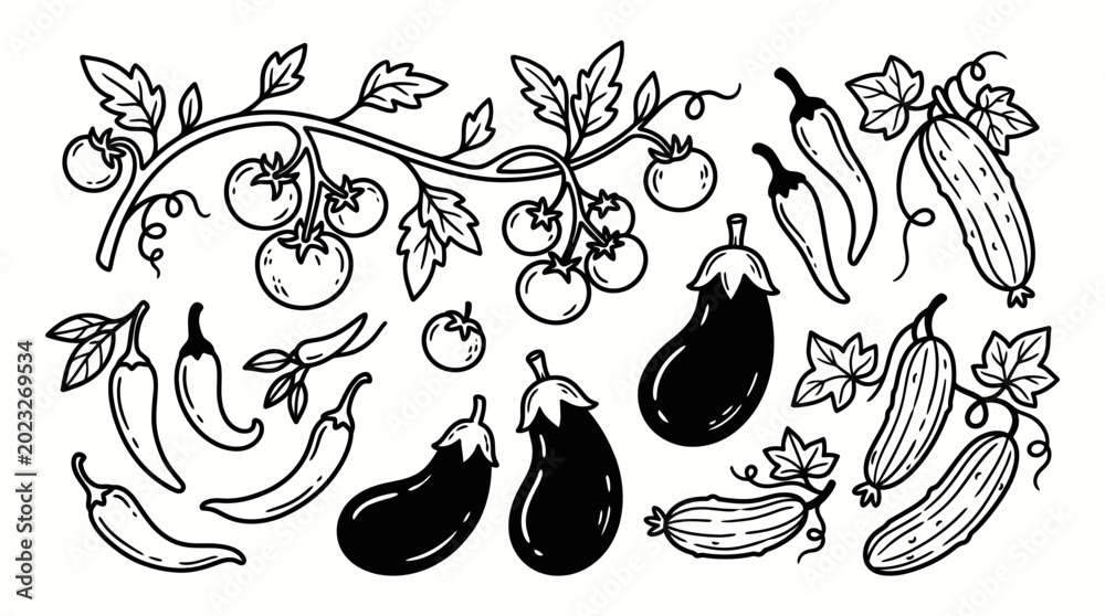 Fototapeta premium Hand-drawn line art collection of tomatoes, eggplants, cucumbers, and peppers, representing fresh garden harvest and organic farming concepts