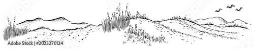 Foto Rolling hills and grassy plains under open sky in simple line art style