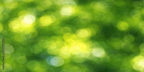 Photography An abstract green nature backdrop featuring a blurred bright summer sun pattern