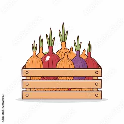 Wooden Crate Full of Assorted Onions