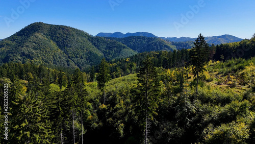 Fotografie Aerial view of lush green forest with mountains creating a serene nature setting, Sitka, Alaska, USA
