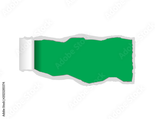 Torn Paper Reveal With Green Background and Rolled Edge for Banner or Design.