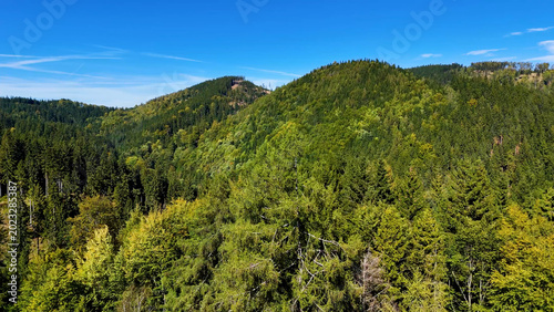 Obraz na plátně Aerial view of lush green forest with mountains creating a serene nature setting, Sitka, Alaska, USA