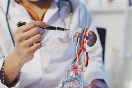 Photography A professional male physician, wearing a white lab coat, is presenting a detaile