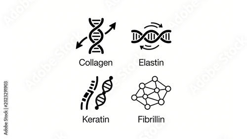 Displaying icons of collagen, elastin, and keratin, representing the core concept of maintaining youthful skin structure in anti-aging skincare.
