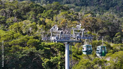 Slika na platnu Aerial View of Cable Cars Gliding Over a Lush Tropical Rainforest Canopy