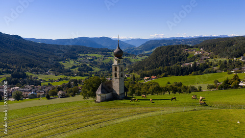 Foto San valentino church with grazing cows in south tyrol