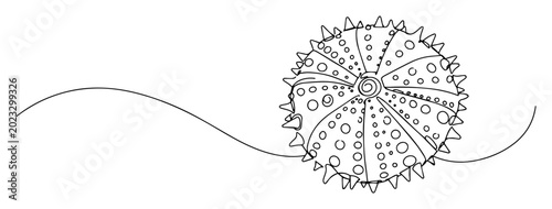 Photos sea urchin line art illustration