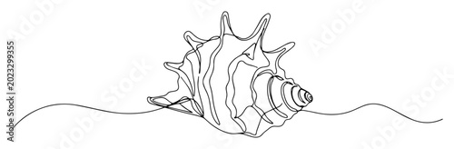 Bild auf Leinwand conch shell line art drawing