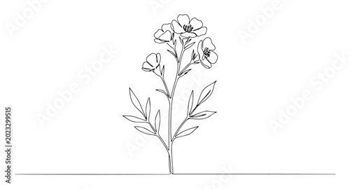 Obraz na plátně mallow flower line art illustration