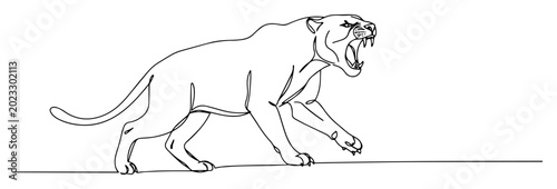 Foto roaring lioness monoline vector thin line